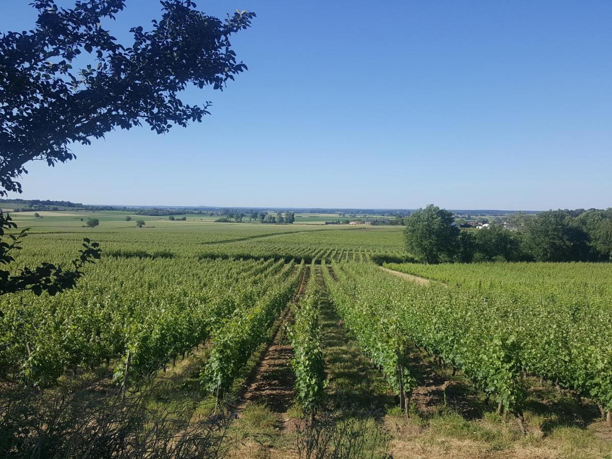 Au Creux Des Vignes Hotel Les Verchers-sur-Layon Exterior photo